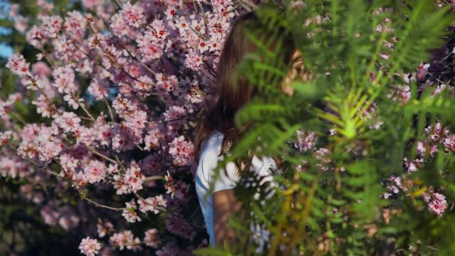 Girl Studies Examines, sniffs Flowers  Pink Almond tree and enjoys life Teenager on a spring background Sonchus Canariensis Boulos in the foreground with Red Blooming Buds shot URSA 4.6K