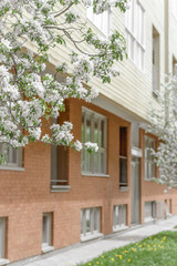 Facade of brick building and blooming trees