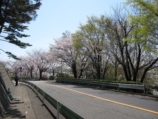 鶴川　公園
