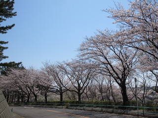 鶴川　公園