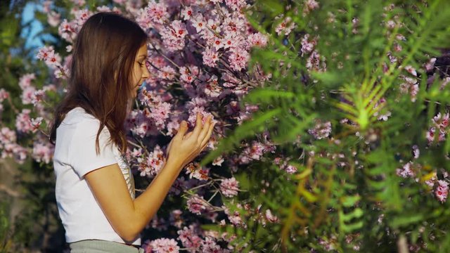 Girl Studies Examines, sniffs Pink Almond tree Flowers sneezes and enjoys life Teenager on a spring background Sonchus Canariensis Boulos in the foreground with Pink Almond flower  shot URSA 4.6K