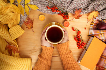 female hands holding a cup of hot tea or coffee, autumn flat in the Scandinavian hugg style, with yellow leaves, cozy knitwear, candles and berries, a blank for the designer