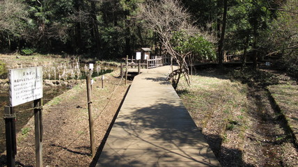 かしの木山自然公園