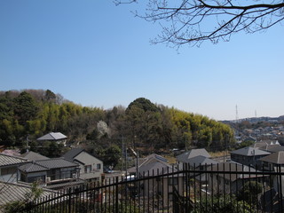 Obraz premium かしの木山自然公園