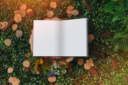 Book mockup on green background with dry leaves and flowers. Book mockup on garden concept. Blank book. Top view.