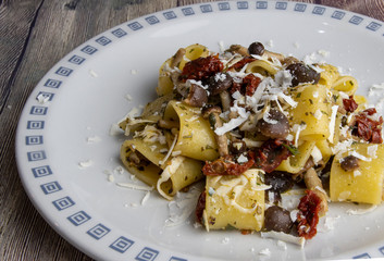 Paccheri pasta with pioppini, dried tomato and sheep's ricotta
