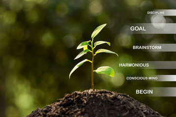 The seedlings are growing from the rich soil and there is technology icon about earth elements around.