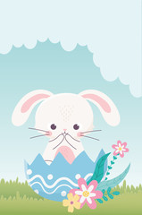 happy easter day, cute rabbit in eggshell flowers grass decoration