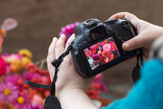 Closeup camera on hands making nature photos and video	with flowers. Hobby concept