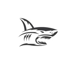 shark vector illustration design