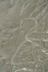 gentle wave of water meets the sandy beach  