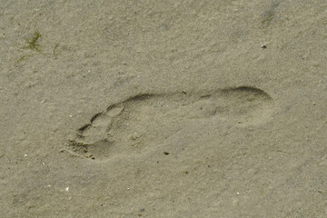 Fototapeta na wymiar Footprint on the sandy beach 