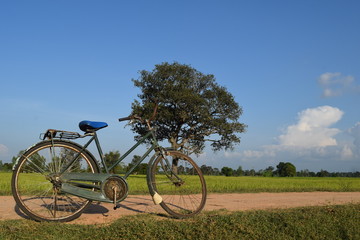 Bicycles parked on the road and the background is green fields and sky.