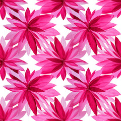 Seamless pattern watercolor pink flower isolated on white background creative background hand-drawn