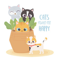 cats make me happy, pets cats in wicker basket plants cartoon
