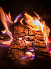 background. black logs burn in an orange flame