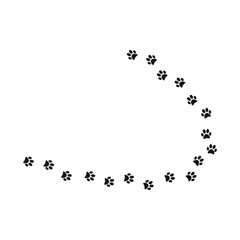Paw print trail on white background. vector illustration