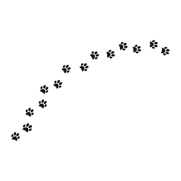 Paw print trail on white background. vector illustration