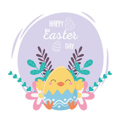 happy easter day, chicken in eggshell flowers decoration
