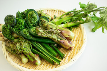 山菜