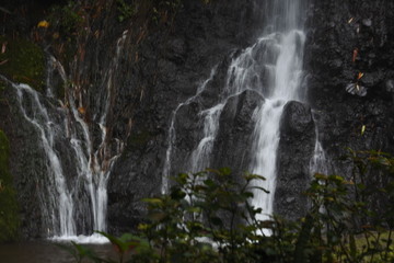 Fototapeta na wymiar waterfall in the middle of the forest. waterfall flow. Beautiful natural waterfall