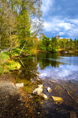 Obraz premium A picturesque view of Tarn Hows and woodland close to Lake Coniston in the English Lake District. 