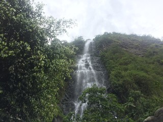 A large and very high waterfall that can be found in banos