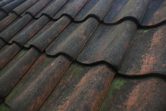 The roof tiles that used to be bright red but are now covered in black and green algea or moss, slightly worn out over time
