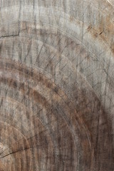 brown wood lumber log texture background