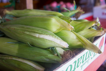 fresh vegetables at the market - corn on the cob