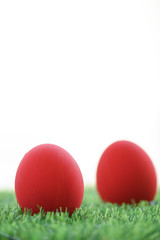 red easter egg on lawn green grass artificial with blank white background