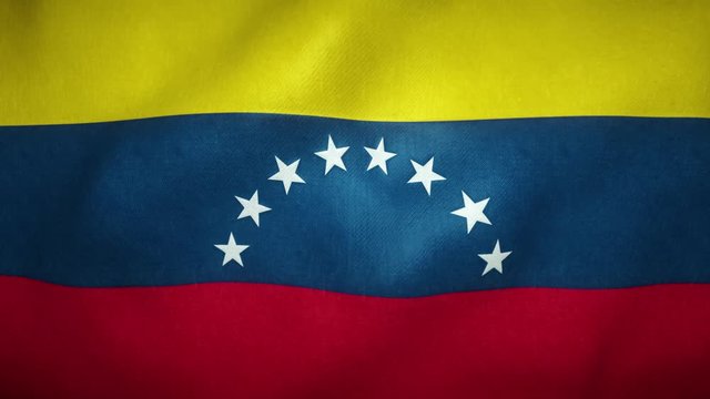 flag of venezuela waving in the wind