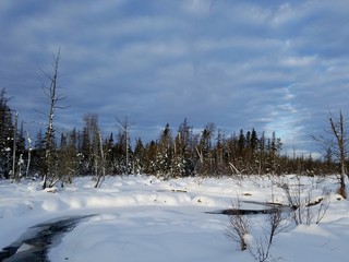 winter landscape with river