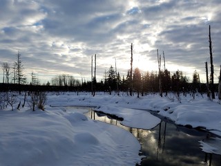 winter landscape with river and trees in winter