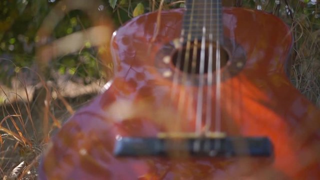 Artistic Picture of the Guitar in the Grass. Wooden acoustic guitar lying in the foreground in a green grassy field