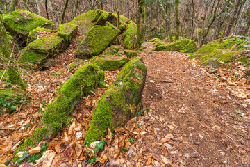Ice holes in Eppan an der Weinstrasse in South Tyrol in Italy.