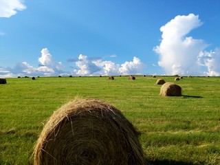 bales of hay in field