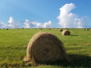 bales of hay