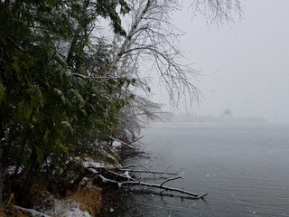 lake in winter