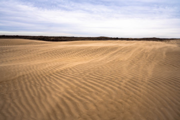windy barren sand dune landscape