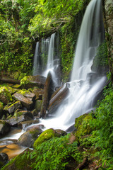 waterfall in forest