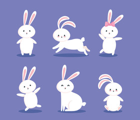 group of cute rabbits icons vector illustration design