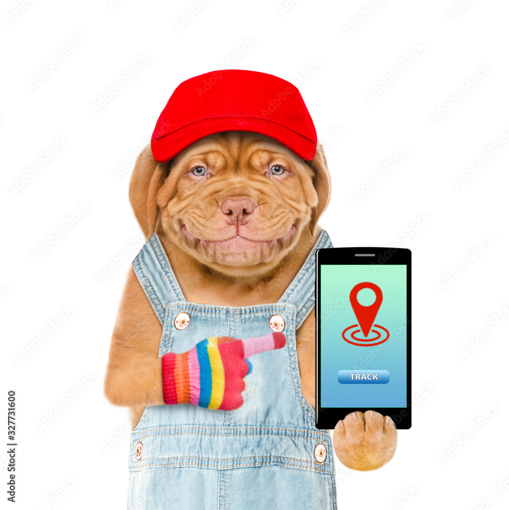 Poster Smiling puppy wearing a red cap  points on smartphone with tracking symbol. Tracking concept. Isolated on white background