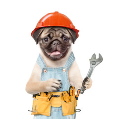 Pug puppy worker wearing a hard hat, overalls with tool belt and adjustable wrench. Isolated on...