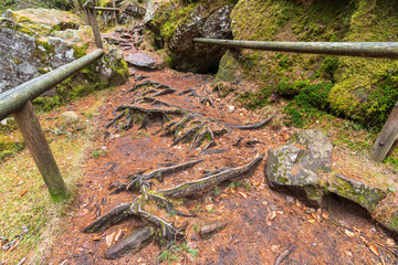 Fototapeta premium Ice holes in Eppan an der Weinstrasse in South Tyrol in Italy.