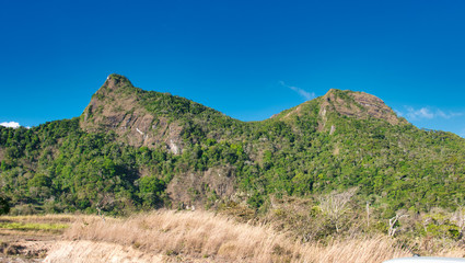 landscape in the mountains
