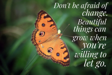 Inspirational quote - Do not be afraid of change. Beautiful things can grow when you are willing to let go. With beautiful orange butterfly on green grass background.
