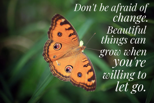 Inspirational Quote - Do Not Be Afraid Of Change. Beautiful Things Can Grow When You Are Willing To Let Go. With Beautiful Orange Butterfly On Green Grass Background.