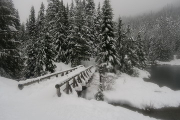 Snowy bridge Gold Creek Pond