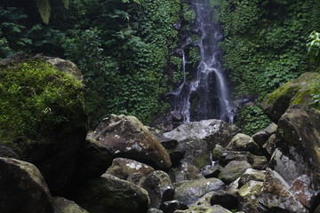 waterfall in the middle of the forest. waterfall flow. Beautiful natural waterfall